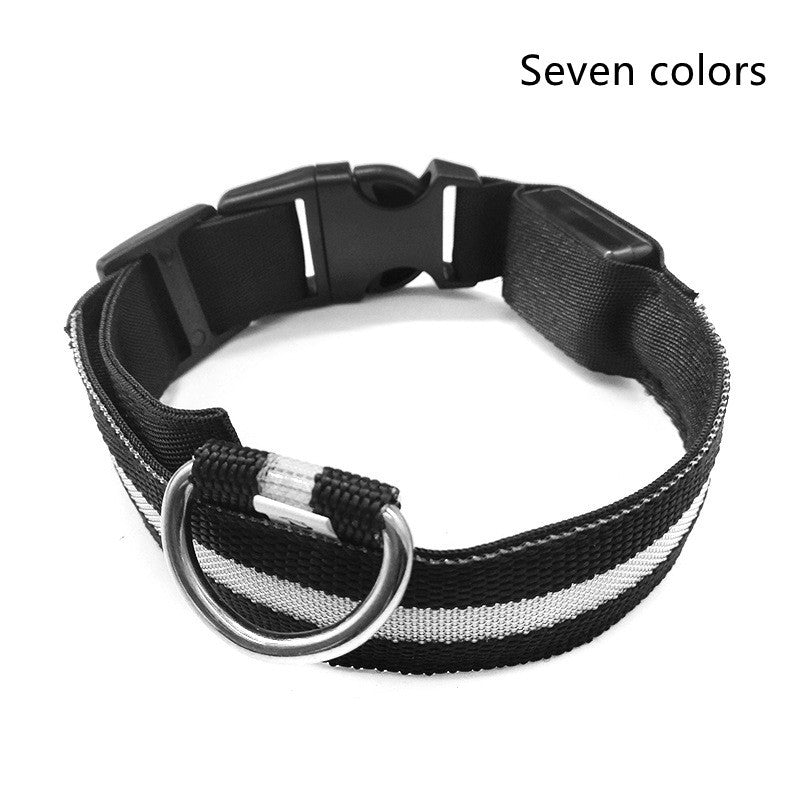 Pet Glow Collar with Leash