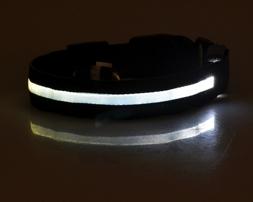 Pet Glow Collar with Leash