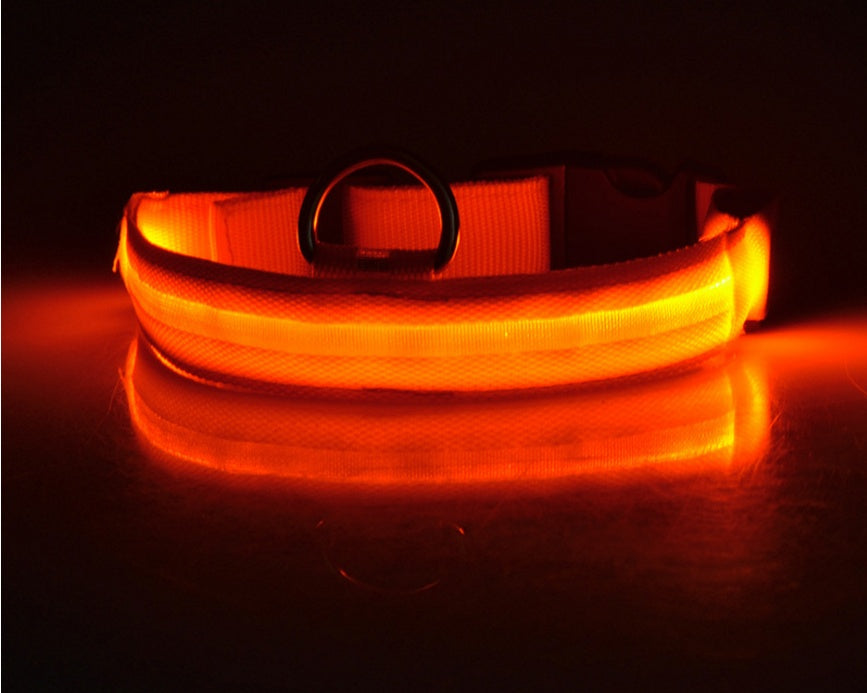 Pet Glow Collar with Leash