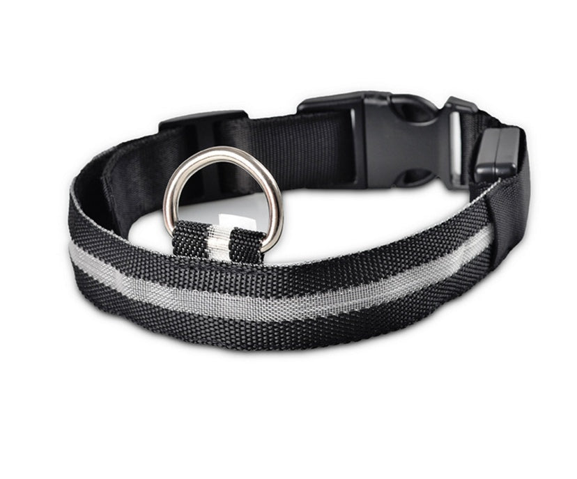 Pet Glow Collar with Leash