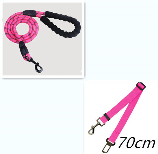 Reflective Dog Leash for Walking