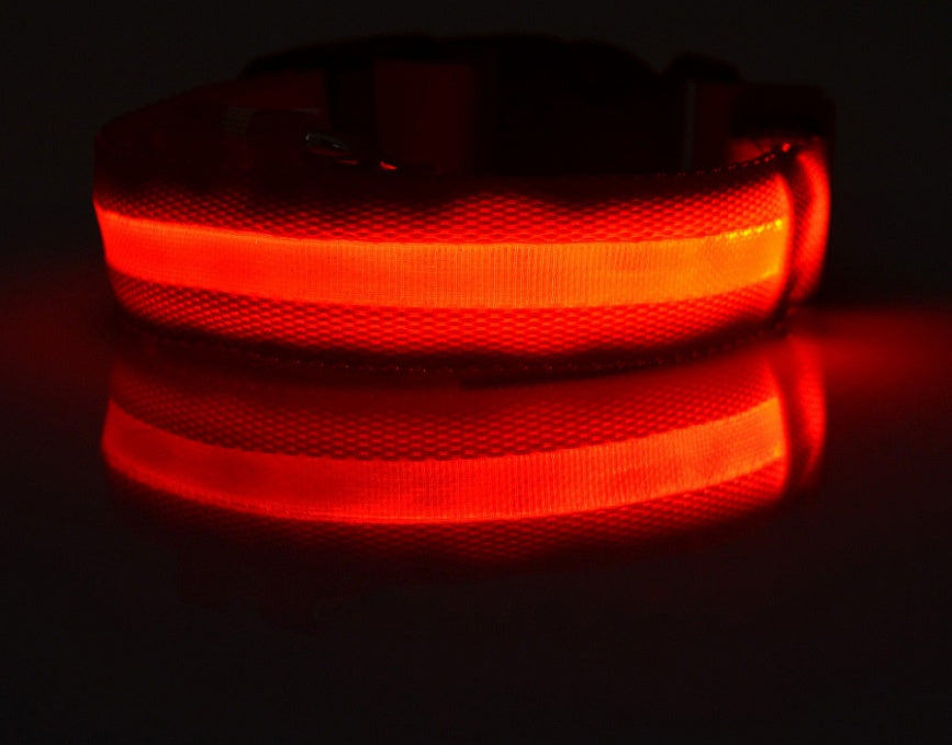 Pet Glow Collar with Leash