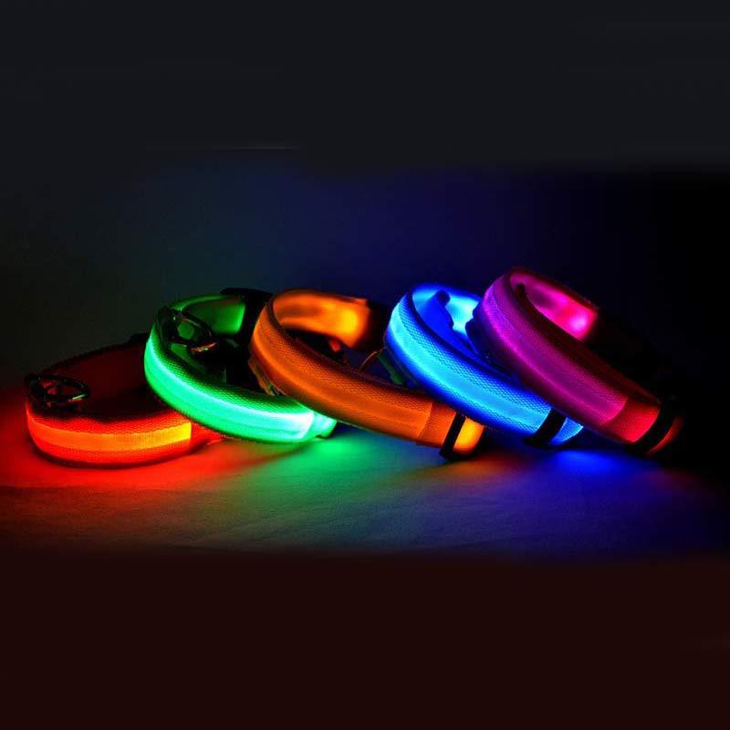 Pet Glow Collar with Leash