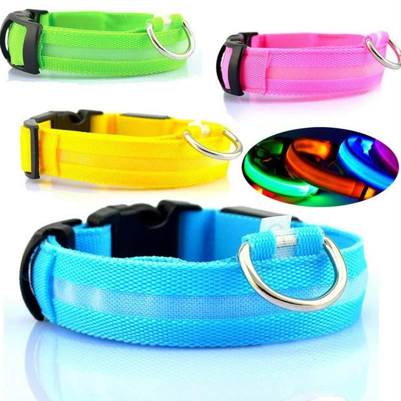 Pet Glow Collar with Leash