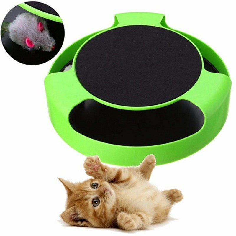 Automatic Pet Play Toy