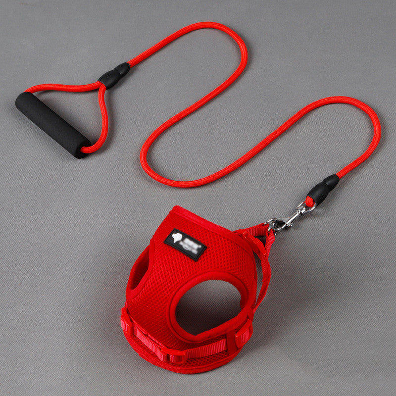 Comfortable Dog Leash Set