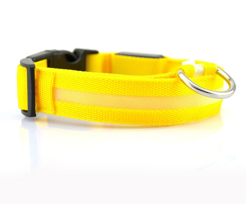 Pet Glow Collar with Leash