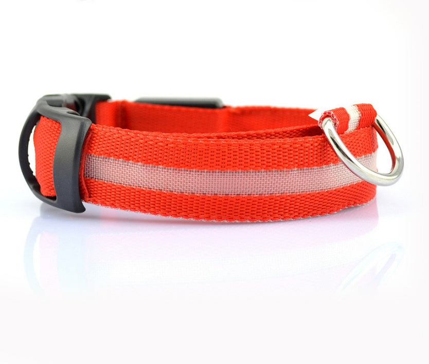 Pet Glow Collar with Leash