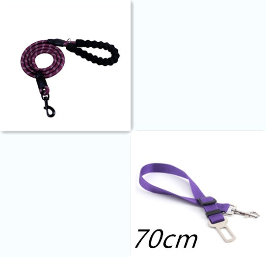 Reflective Dog Leash for Walking