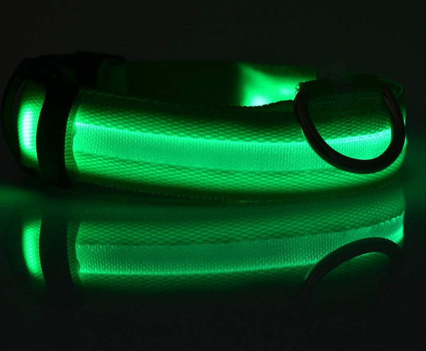 Pet Glow Collar with Leash