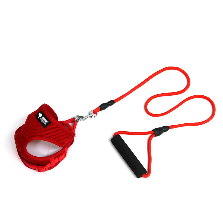 Comfortable Dog Leash Set