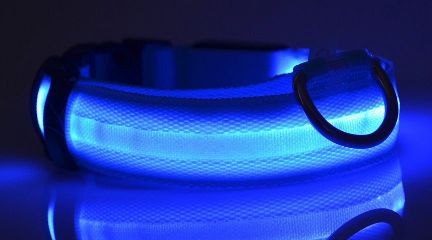 Pet Glow Collar with Leash