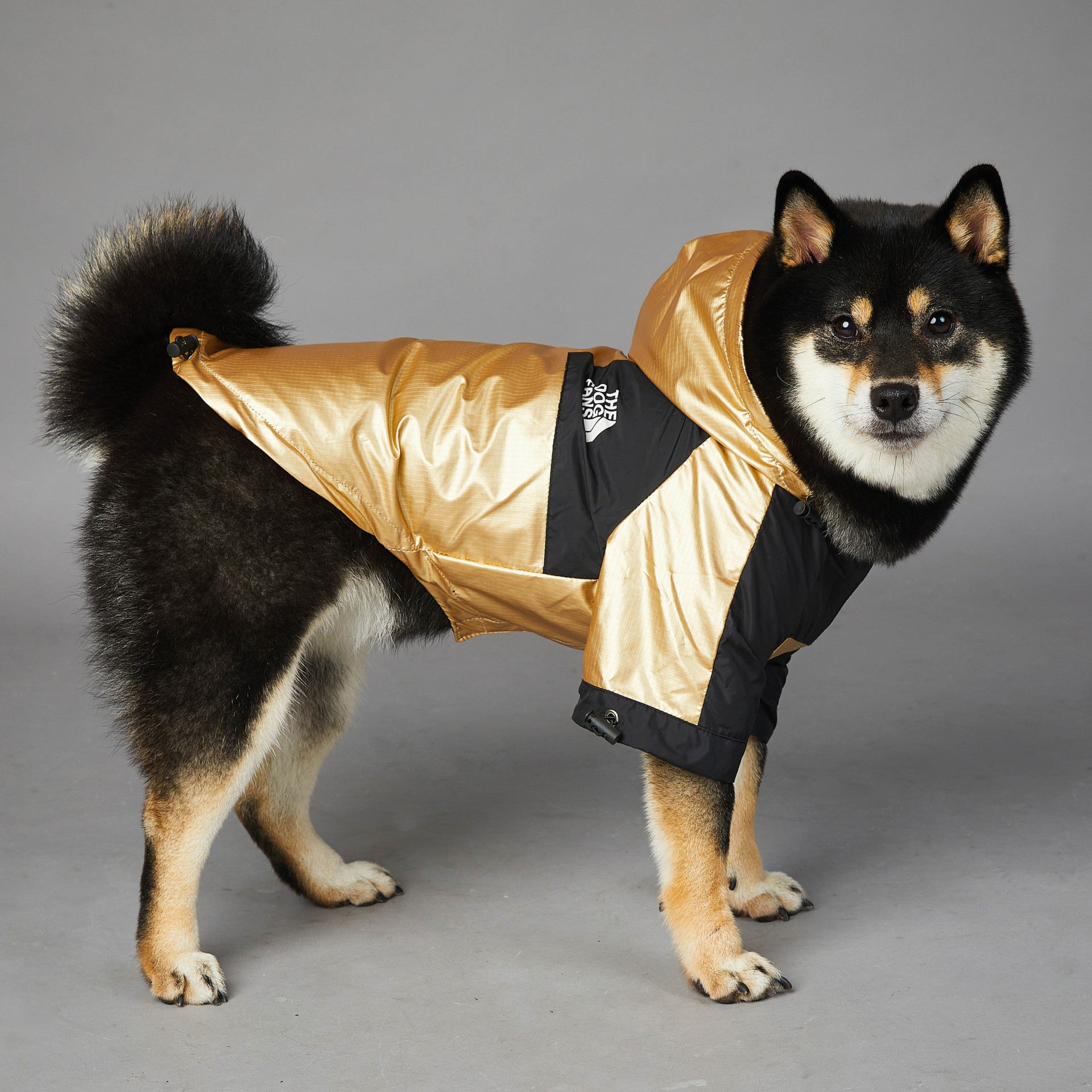 Waterproof Dog Jacket