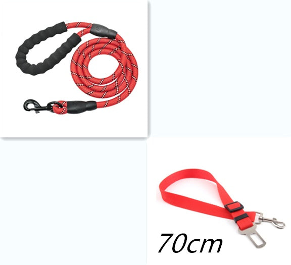 Reflective Dog Leash for Walking