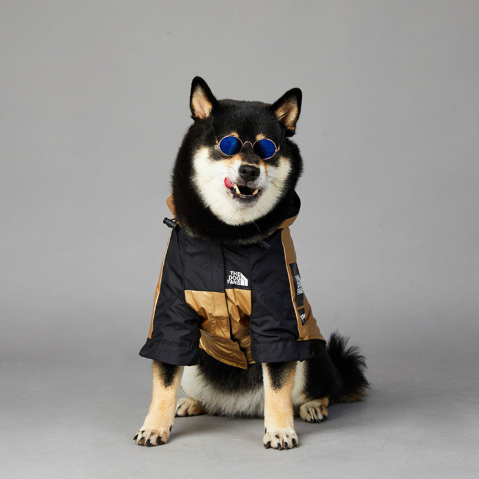 Waterproof Dog Jacket