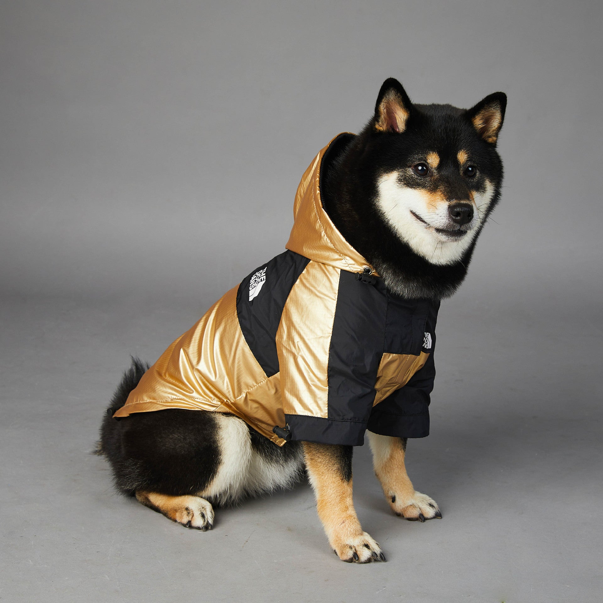 Waterproof Dog Jacket