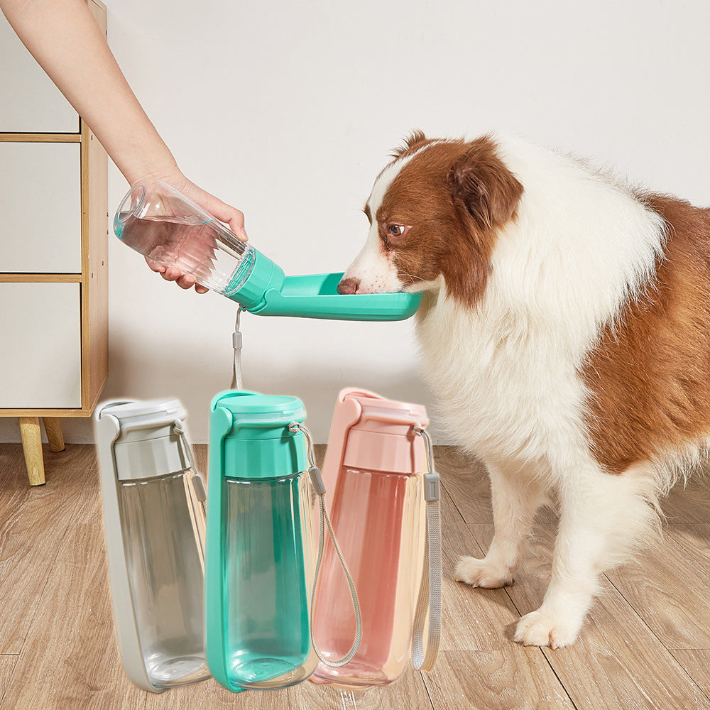 Portable Pet Water Bottle